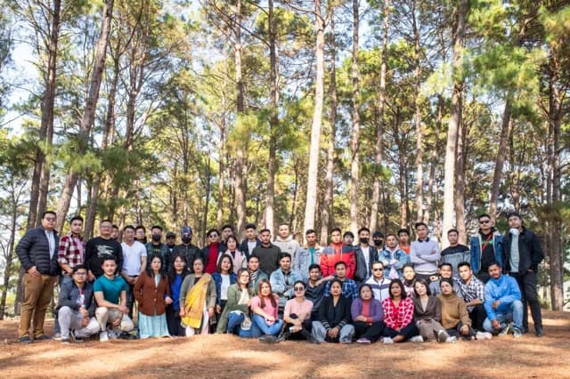 Large community outing in a pine forest